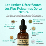 Gouttes bien-être pour le drainage lymphatique – Image 3